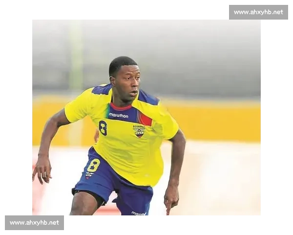 厄瓜多尔对阵秘鲁的南美赛场较量看点全面解析球队状态与战术博弈前瞻