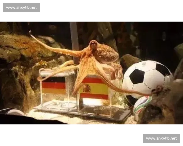 章鱼与人类智慧对决的进化博弈与深海启示录生存策略全景观察